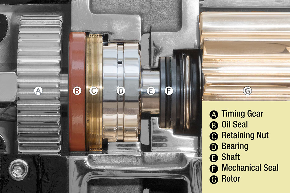 Electric_Powered_Foam_Pump_Skid_Unit-_rh_5196_bearings-seals.jpg